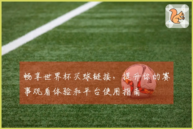 畅享世界杯买球链接，提升你的赛事观看体验和平台使用指南