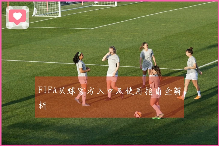 FIFA买球官方入口及使用指南全解析