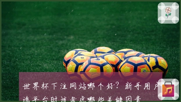 世界杯下注网站哪个好？新手用户选平台时该考虑哪些关键因素