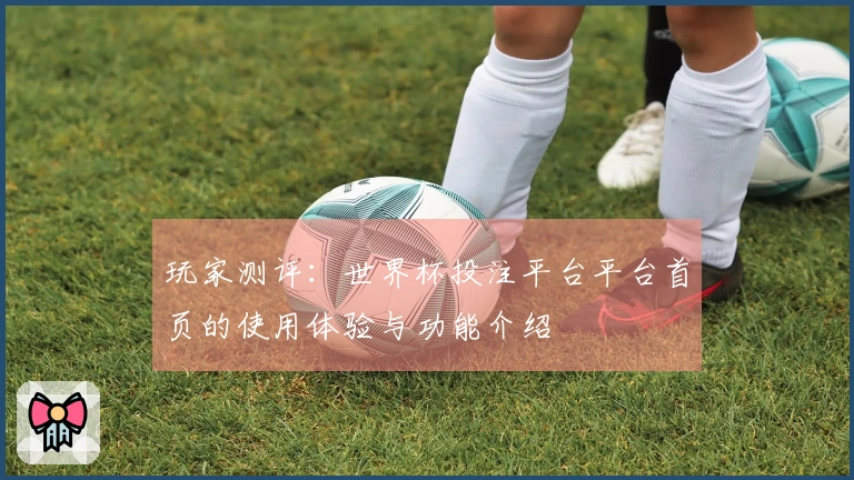 玩家测评:世界杯投注平台平台首页的使用体验与功能介绍