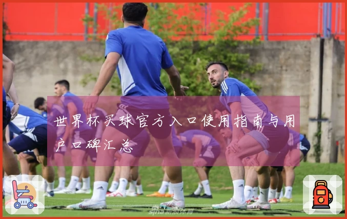 世界杯买球官方入口使用指南与用户口碑汇总
