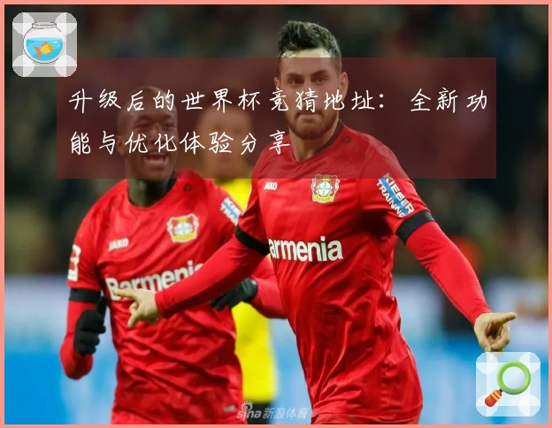 升级后的世界杯竞猜地址:全新功能与优化体验分享