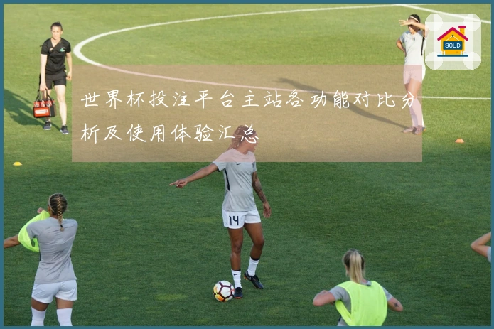 世界杯投注平台主站各功能对比分析及使用体验汇总