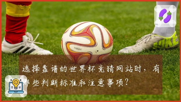 选择靠谱的世界杯竞猜网站时，有哪些判断标准和注意事项？
