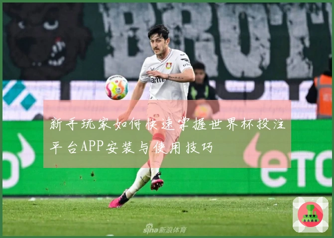 新手玩家如何快速掌握世界杯投注平台APP安装与使用技巧