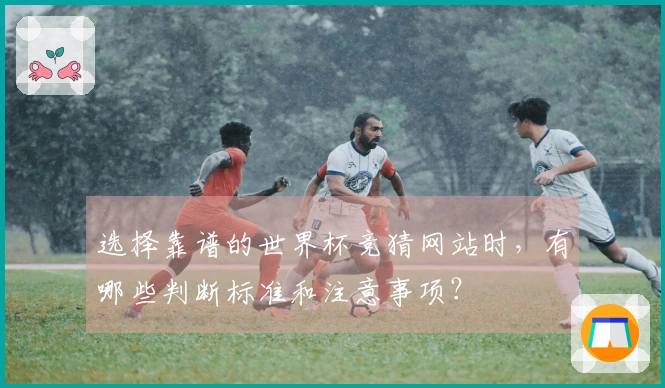 选择靠谱的世界杯竞猜网站时,有哪些判断标准和注意事项?