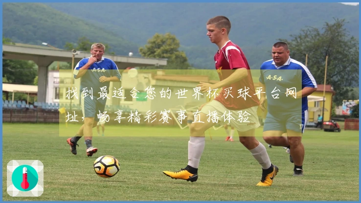 找到最适合您的世界杯买球平台网址，畅享精彩赛事直播体验