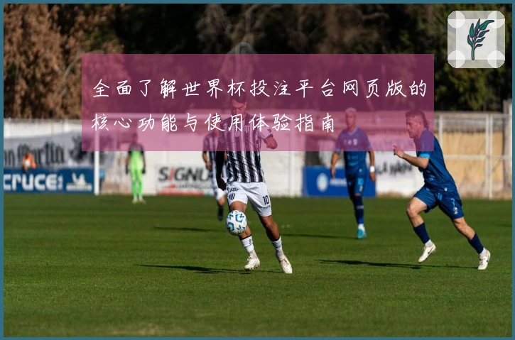 全面了解世界杯投注平台网页版的核心功能与使用体验指南