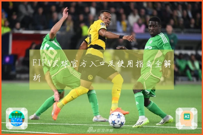 FIFA买球官方入口及使用指南全解析