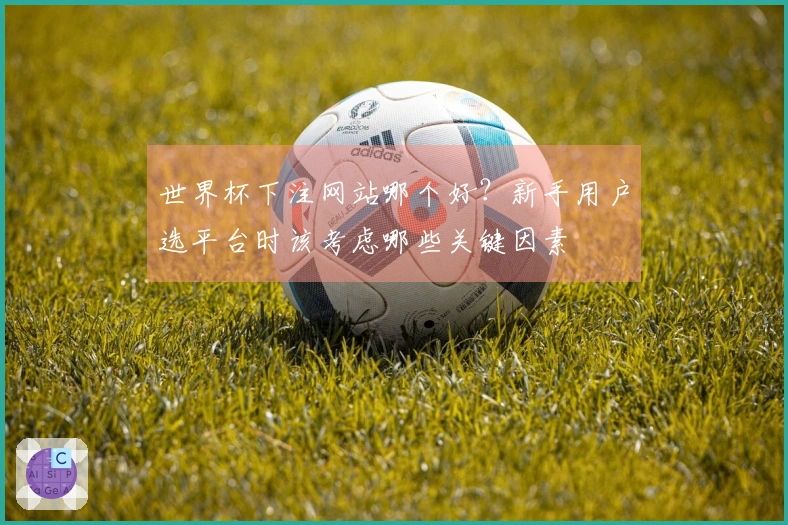 世界杯下注网站哪个好?新手用户选平台时该考虑哪些关键因素
